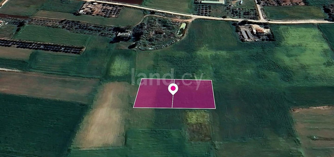 Field for sale in Larnaca