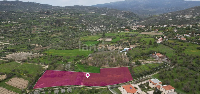 Field for sale in Limassol