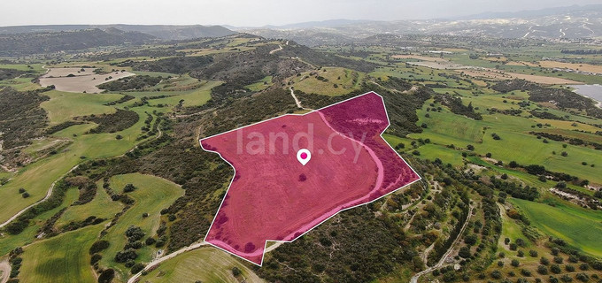 Field for sale in Larnaca