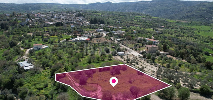 Campo a la venta en Paphos