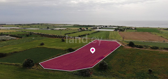 Field for sale in Larnaca