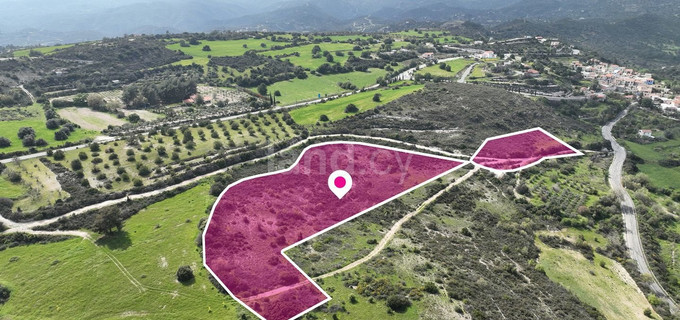 Field for sale in Larnaca