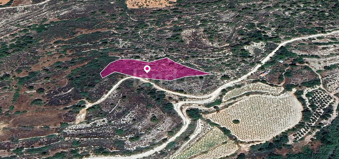 Field for sale in Limassol