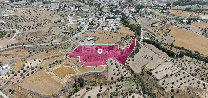 Field for sale in Nicosia