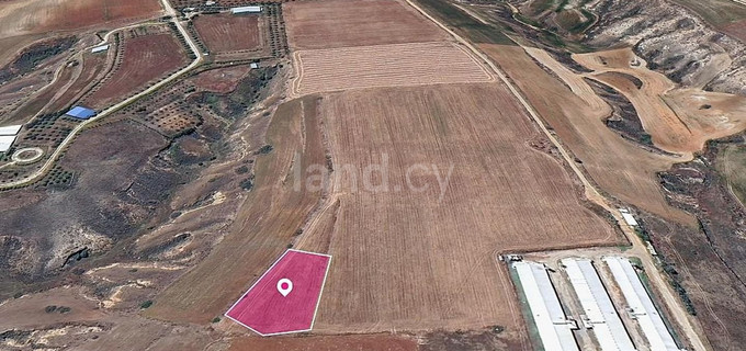 Field for sale in Nicosia