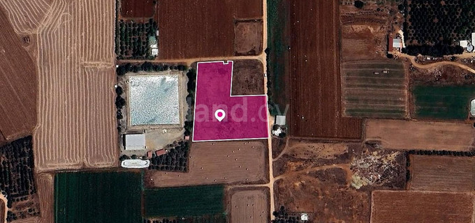 Field for sale in Larnaca