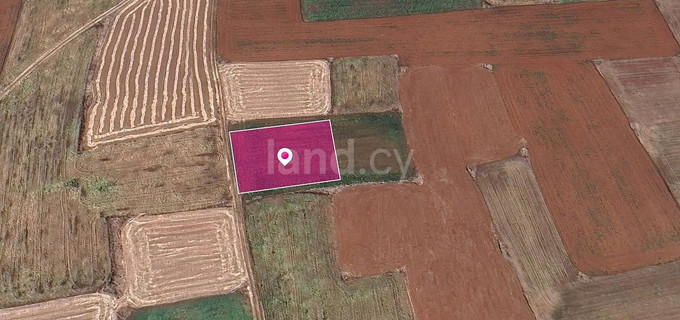 Field for sale in Nicosia