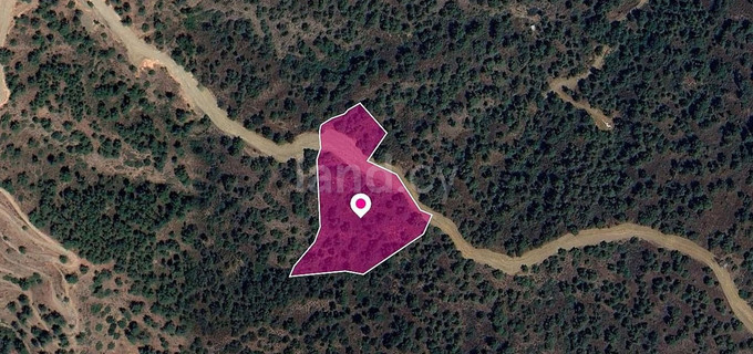 Field for sale in Nicosia