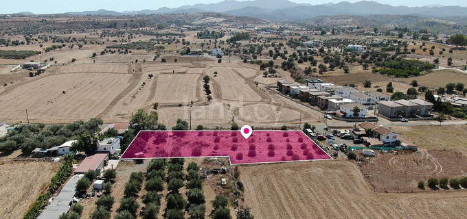 Residential field for sale in Nicosia