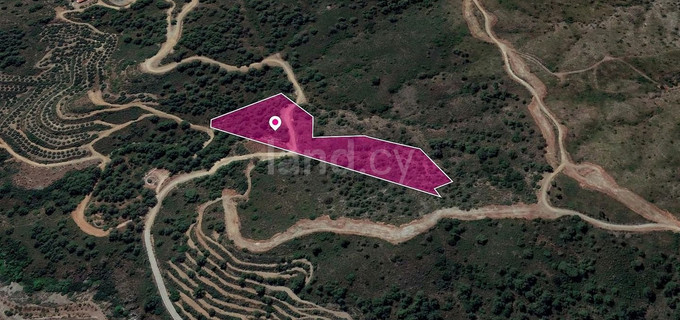 Field for sale in Larnaca