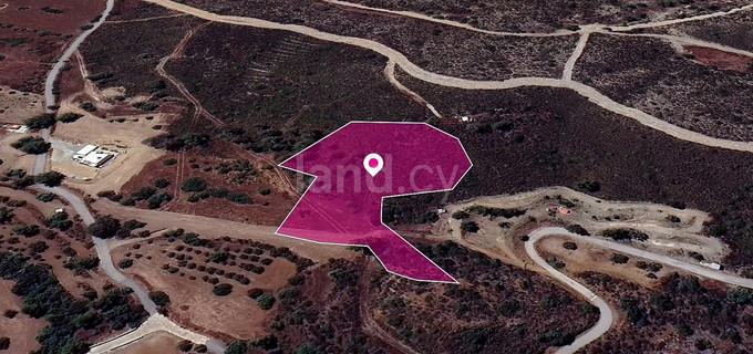 Field for sale in Larnaca