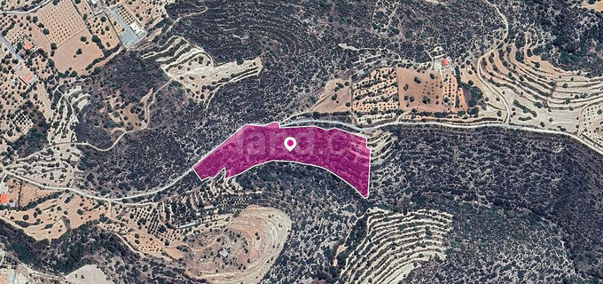 Field for sale in Limassol