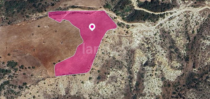 Field for sale in Limassol