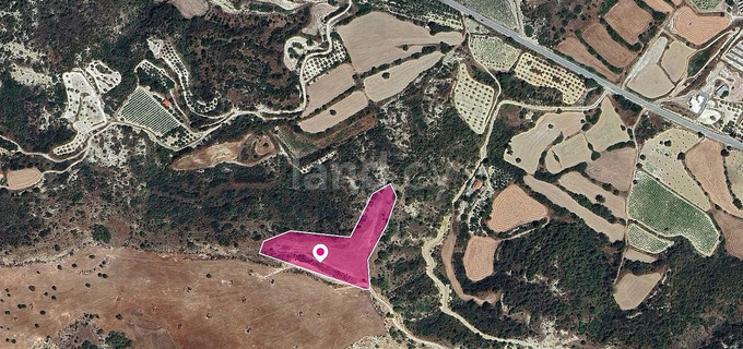 Field for sale in Limassol