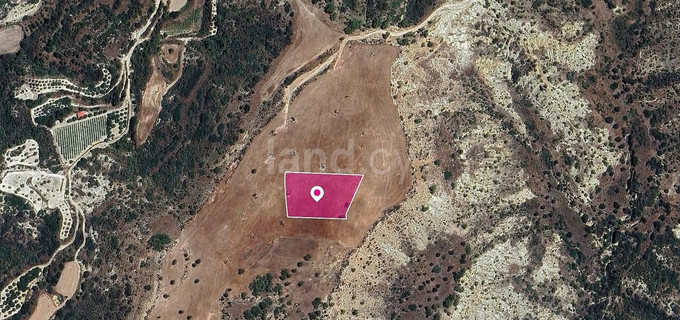 Field for sale in Limassol