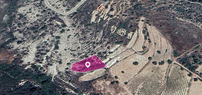 Field for sale in Limassol