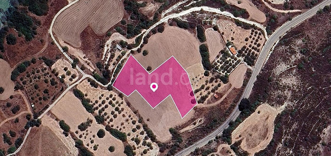 Field for sale in Larnaca