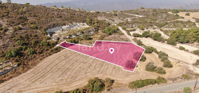 Field for sale in Larnaca