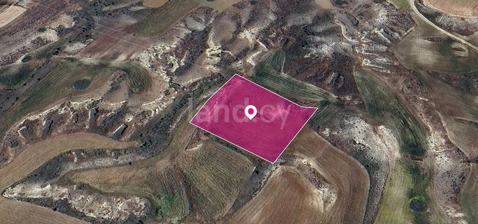 Field for sale in Nicosia