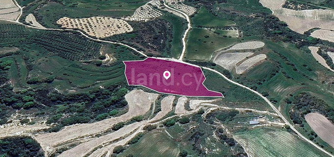 Field for sale in Paphos