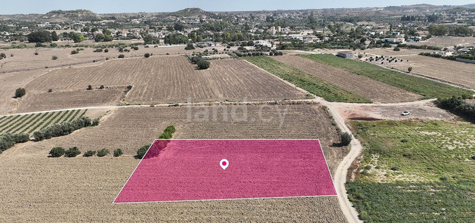 Campo a la venta en Nicosia