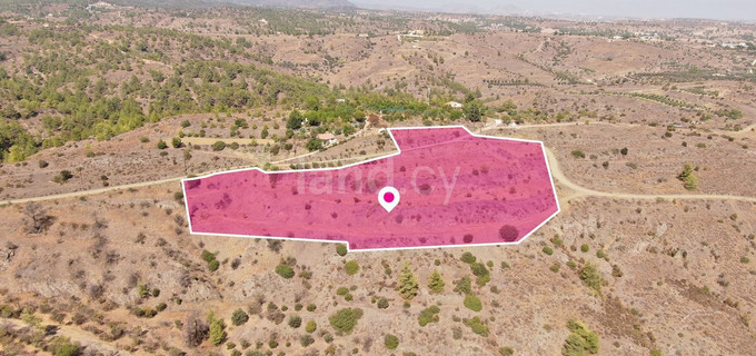 Field for sale in Nicosia