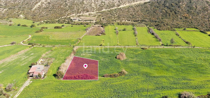 Field for sale in Limassol