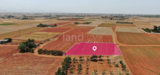 Campo a la venta en Nicosia