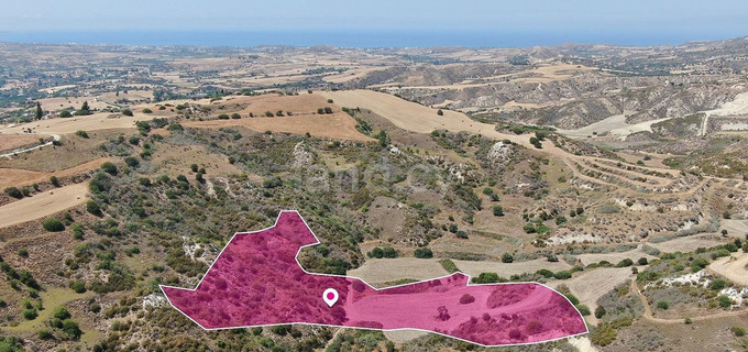 Field for sale in Paphos