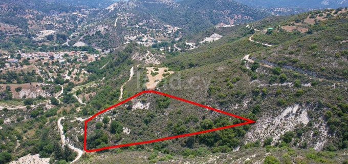 Agricultural plot for sale in Limassol