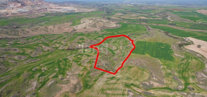 Landwirtschaftliches Grundstück in Nicosia zu verkaufen