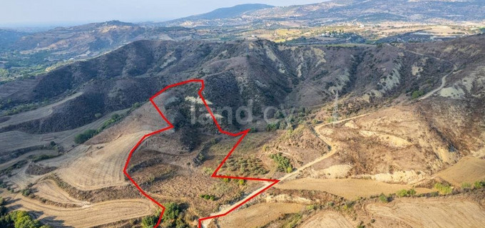 Agricultural plot for sale in Paphos