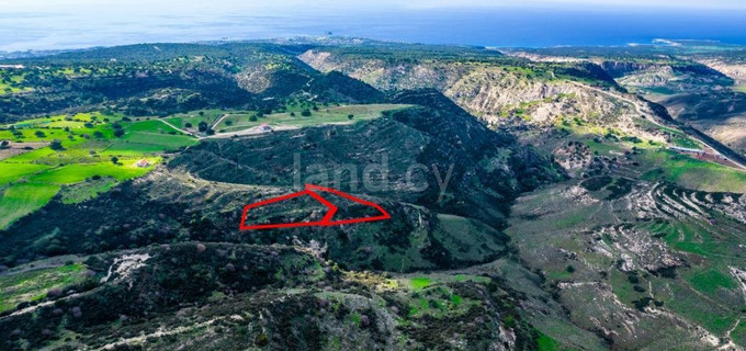 Agricultural plot for sale in Paphos