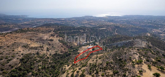 Agricultural plot for sale in Paphos