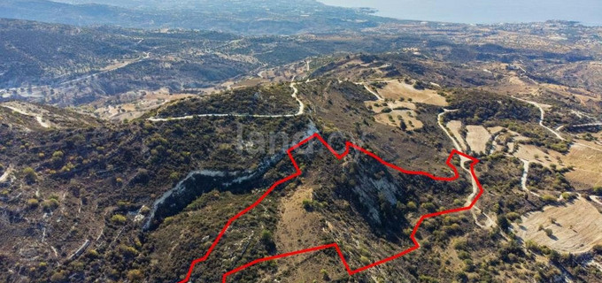 Agricultural plot for sale in Paphos