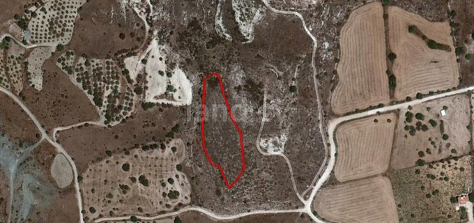 Agricultural plot for sale in Paphos