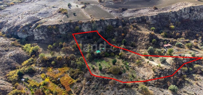 Agricultural plot for sale in Paphos