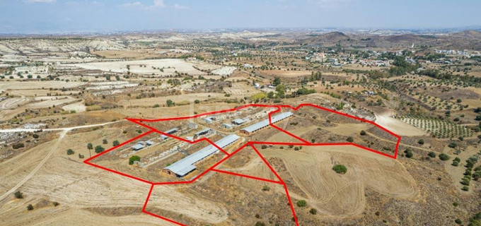 Agricultural plot for sale in Nicosia