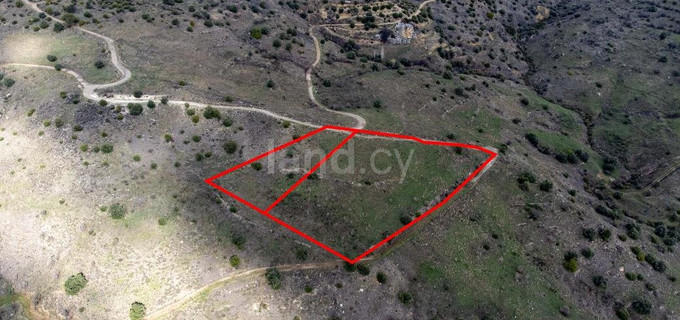 Agricultural plot for sale in Paphos