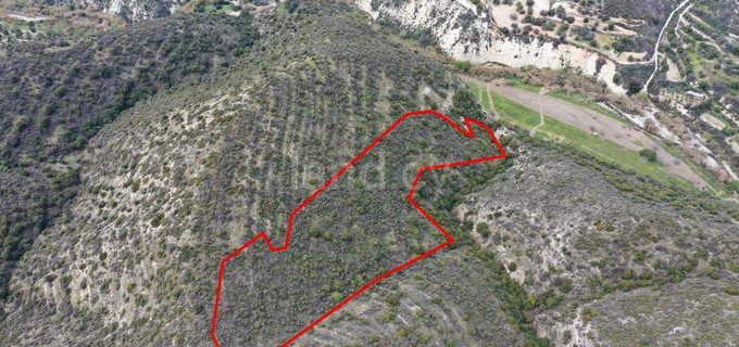 Agricultural plot for sale in Limassol