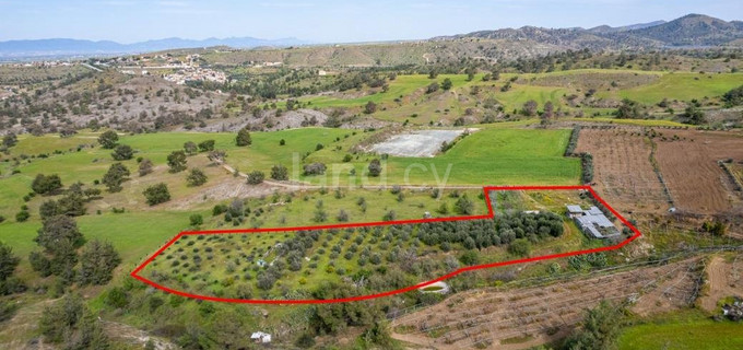 Agricultural plot for sale in Nicosia