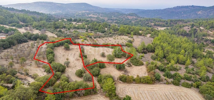 Parcelle agricole à vendre à Paphos