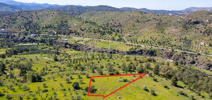 Agricultural plot for sale in Nicosia