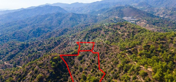 Agricultural plot for sale in Limassol