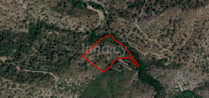 Agricultural plot for sale in Limassol