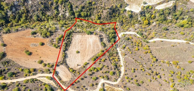 Agricultural plot for sale in Limassol