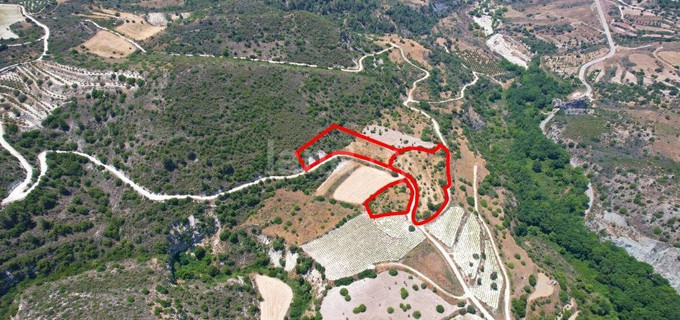 Agricultural plot for sale in Limassol