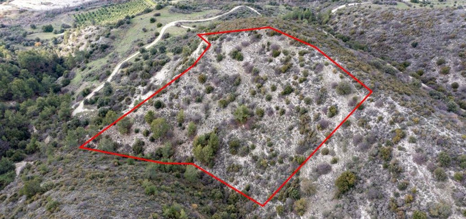 Agricultural plot for sale in Limassol