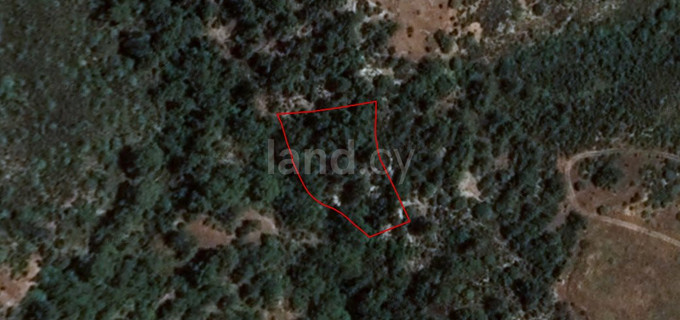 Agricultural plot for sale in Limassol