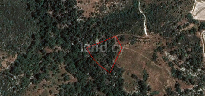 Agricultural plot for sale in Limassol